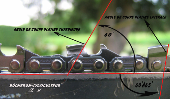 Angle et sens d'affûtage - Bucheron-sylviculteur
