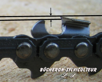 Les limiteurs de profondeur des chaînes de tronçonneuses -  Bucheron-sylviculteur