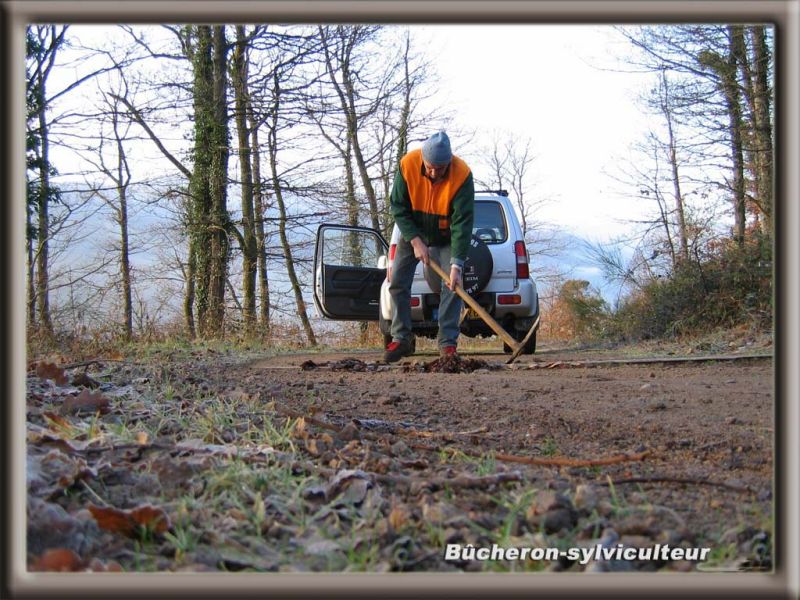 Travaux d'automne et bucheronnage