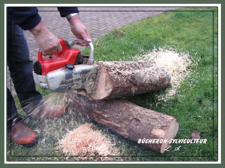  Tronçonneuse Stihl 08 Les premiers-modèles 1963