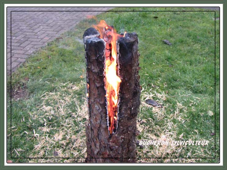 STRUVAY : Bûche pour la cheminée